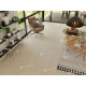 LVT плитка Alpine Floor Easy Line ECO 3-14 Дуб Снежный
