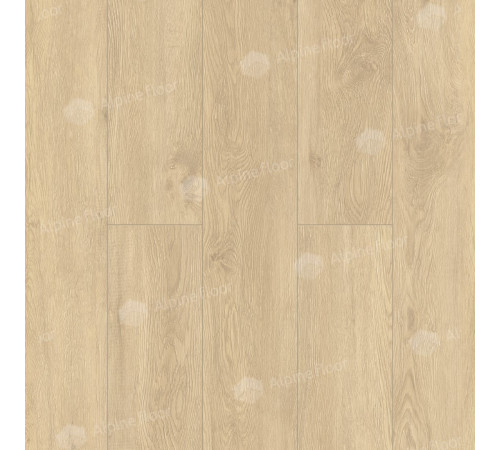 LVT плитка Alpine Floor Easy Line ECO 3-31 Камфора