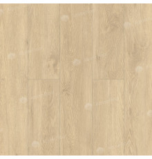 SPC кварцвинил Alpine Floor Grand Sequoia Light ECO 11-501 Камфора