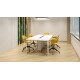 SPC Кварцвинил Alpine Floor Grand Sequoia ECO 11-29 Нидлес