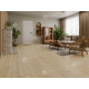 Кварцвиниловый SPC пол Alpine Floor Grand Sequoia Village ECO 11-507 Камфора