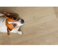 Кварц-виниловый SPC пол Floor Factor CLASSIC BARLEY CORN OAK (SIC.13)