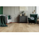Кварц-виниловый SPC пол Floor Factor CLASSIC BARLEY CORN OAK (SIC.13)